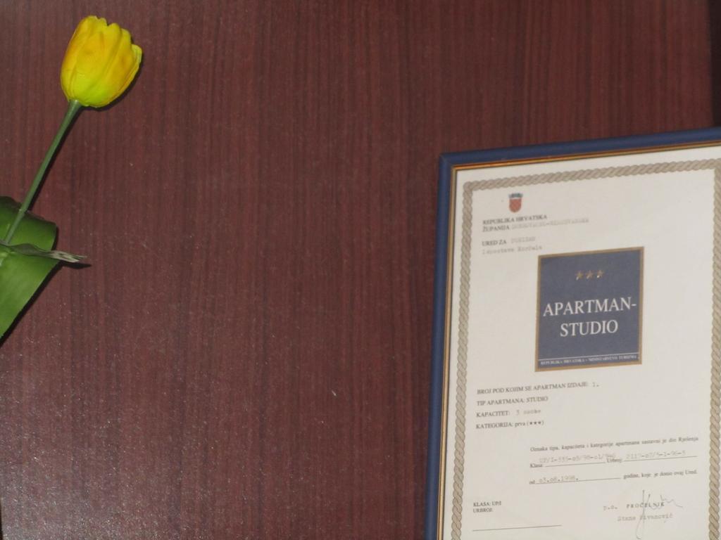 Apartment Petrovic Κόρτσουλα Εξωτερικό φωτογραφία