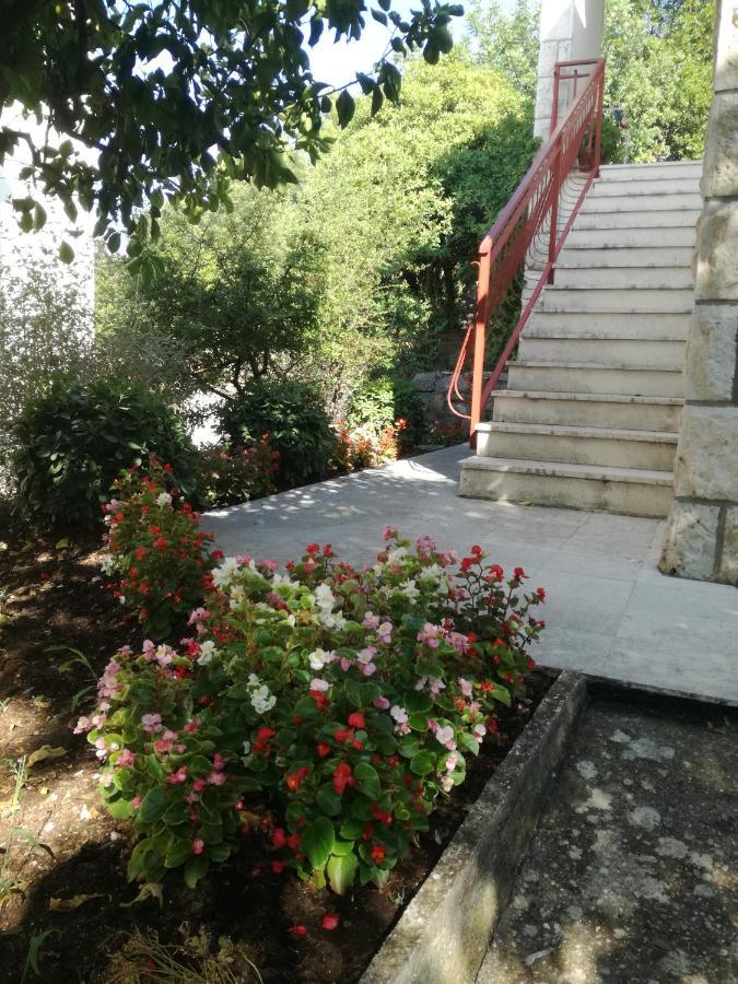 Apartment Petrovic Κόρτσουλα Εξωτερικό φωτογραφία